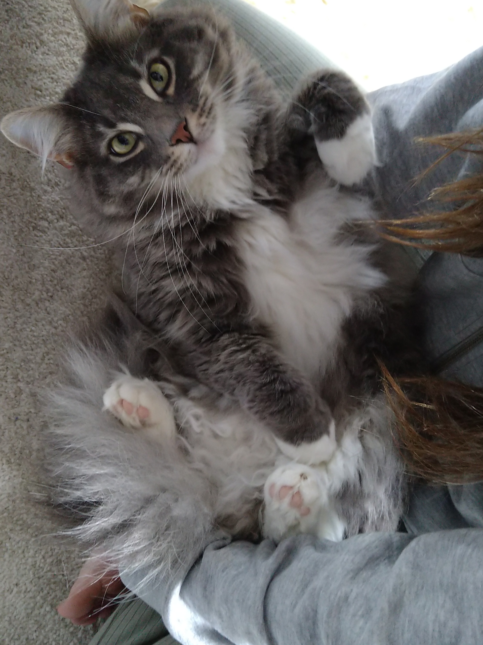 Buddha TankeStationens talangjägare