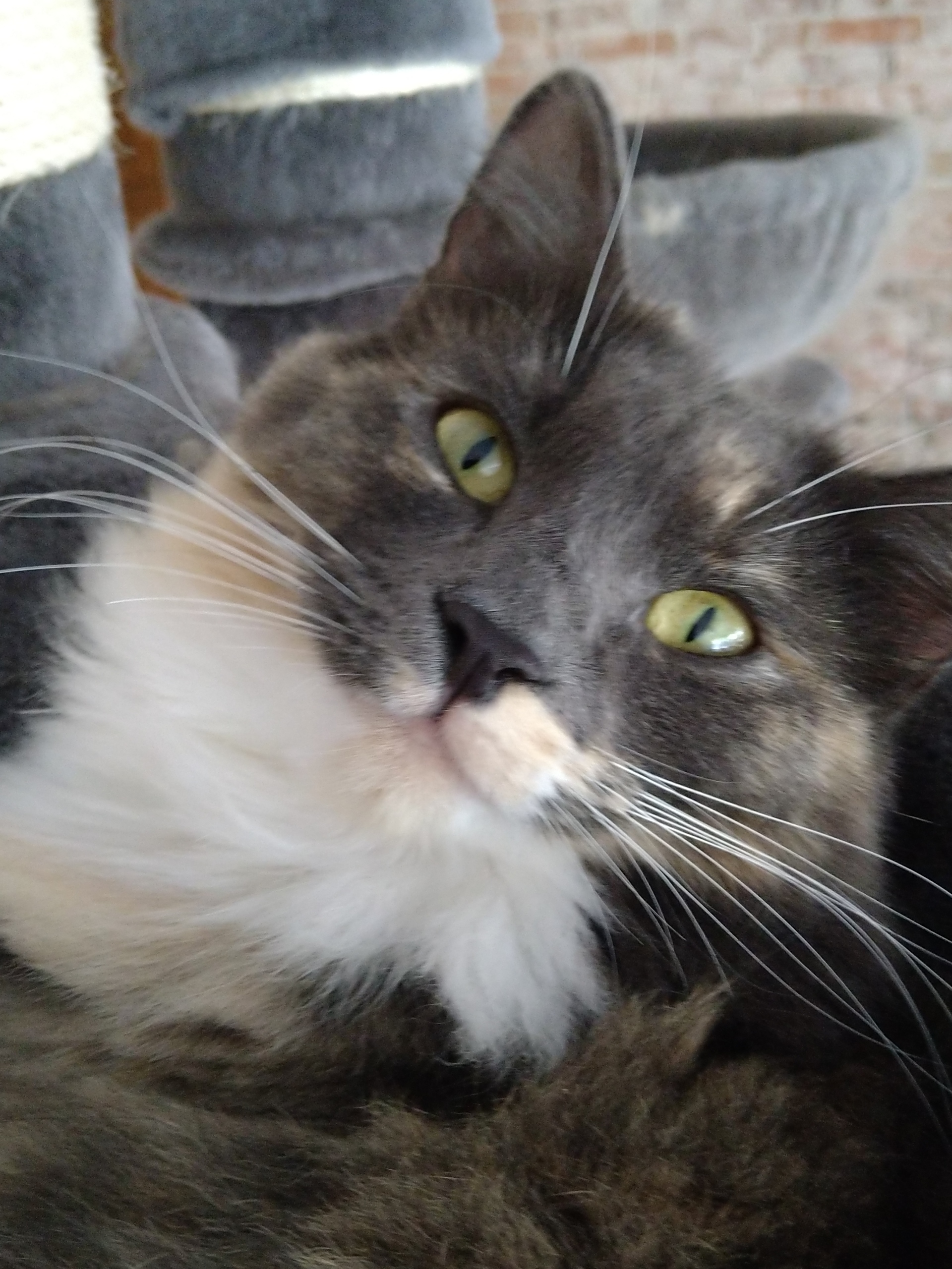 Mozzarella TankeStationens fikaansvariga